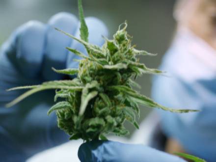 Chicago, IL federal criminal defense lawyer